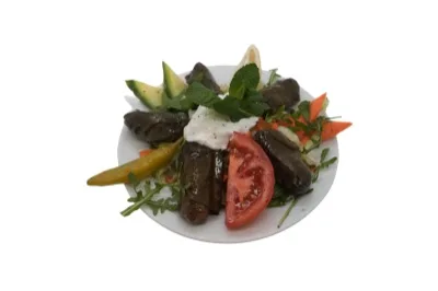Sarma bei Öz Urfa Langenhagen