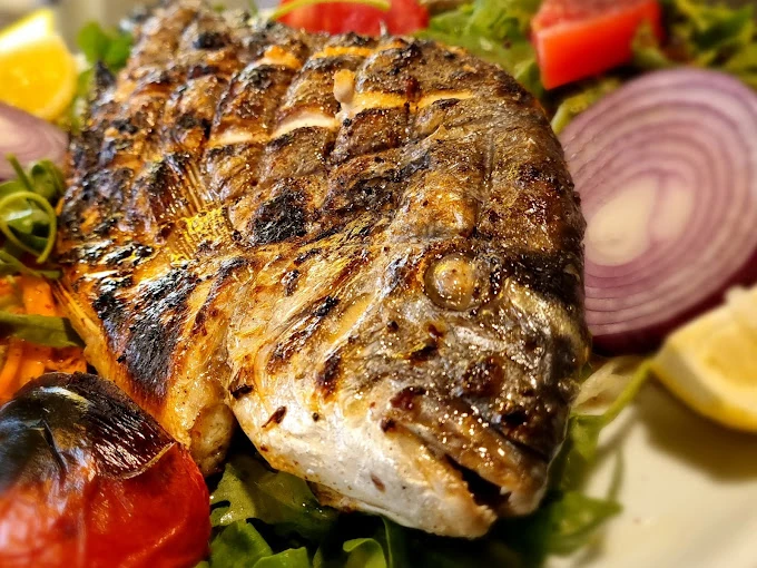 Çupra / Dorade bei Öz Urfa Langenhagen
